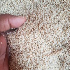 Natural Sesame Seeds – product photo 1, product detail gallery