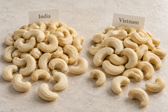 Cashew W240 W320  India /Vietnam - Image 3