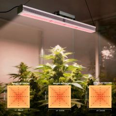 High Efficiency 600W 301b LED Plant Grow Light, Linear Design, 2.8 μMol/J, Rj14 Control, IP65 for Commercial Horticulture - Image 2