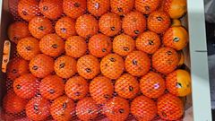 Clementine - Image 2