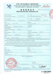 Our Certificates certificate of Changsha Solavis Flower Co., Ltd. – certificate photo, supplier certificates section