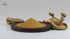 100% Natural Organic Herbal extract 50% mushroom powder shiitake mushroom extract - Image 4