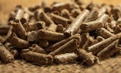 Price Pine Wood Pellet for Stove Use Competitive Price Per Ton in Stock Cheap Price Fast Delivery Wholesale for Sale - Image 1