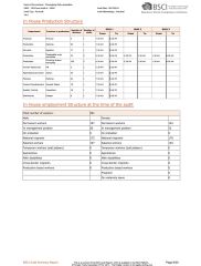 BSCI Audit-06 certificate from Shuangtong Daily Necessities Co., Ltd. Y. W.