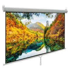 Cheap Price Manual Projector Projection Screen for Wholesale - Image 4