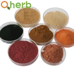 Food Additive Monascus Color Red - Image 3
