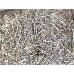 Buy High Quality Timothy Hay Bales, Alfalfa Hay In Cheap Price - Image 3