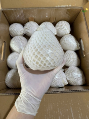 Fresh Coconut – product photo 4, product detail gallery