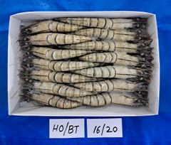 Frozen Tiger Shrimp HOSO – product photo 1, product detail gallery