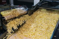 Fries - Image 1