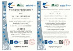 BSCI SA8000 certificate from Zhejiang Safetree Industry Tech Co., Ltd.