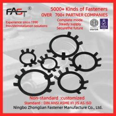GB858 Plate Washer Spring Washers for Round Nuts Stainless Steel Stop Nuts - Image 5
