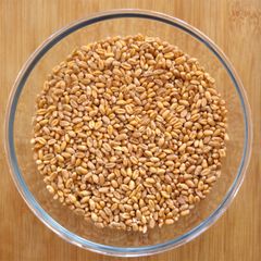 Non GMO Wheat Grain With Premium Color Wheat Grain Offering Excellent Quality And Trusted Supplier Assurance - Image 3