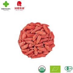Runde Manor Super Grade Goji Dried 180-220gr/50g MOQ20 AD Drying - Image 4