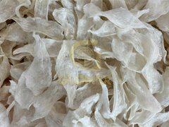 Premium Dried Fish Maw - Ready to export for Chinese cuisine - Image 2
