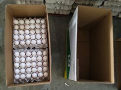 chicken eggs Type medium Packaging - Image 2