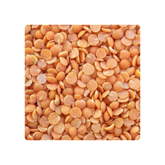 Wholesale Price Canadian Red Lentils / Split Red Lentils Available for Sale at Low Price, Fresh Red Lentil for Europe Bulk - Image 4