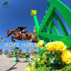 Shandong TS41 Aluminum Jumping Equipment Any Color Powder Coating 1Y ISO9001 - Image 6