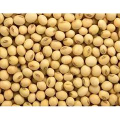 Wholesale Ukraine & Brazil Organic Non-Gmo Soyabean Yellow Soybean Soja Soya Beans - Image 5