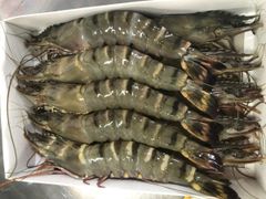 Frozen Black Tiger Shrimp Available for Global Export and Distribution Premium Black Tiger Shrimp Frozen Fresh Frozen B - Image 1