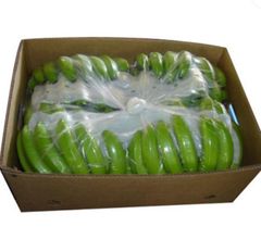 Fresh Cavendish Banana – product photo 1, product detail gallery