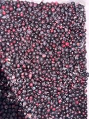 IQF Wild Blueberry - Image 2