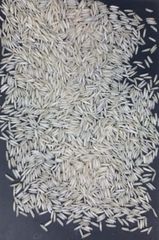 Steam Basmathi Rice 1121 – product photo 3, product detail gallery