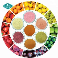 Fruit Extract 100 Natural Freeze Drying Acai Berry Extract Concentrate Juice Powder - Image 4