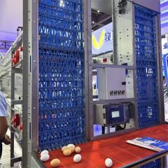 Modular Broiler Cage for Scalable Poultry Farming - Image 6