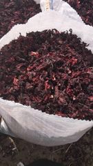 Affordable EXPORT GRADE DRIED HIBISCUS Available for bulk export worldwide - Image 2
