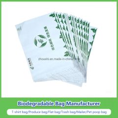 Plastic Printing Bubble Express Bag LDPE Mailing Bag - Image 5