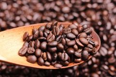 Coffee Bean Coffee Beans Roaster From Vietnam Wholesale coffee - Image 6