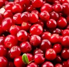 Frozen Lingonberry - Image 1