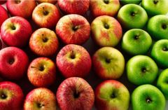 Fresh Apples – product photo 3, product detail gallery