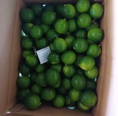 seedless lemon CHEAPEST PRICE Export quality Seedless lemon from Vietnam of the highest quality FREE TAX - Image 5