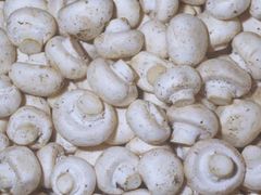 white mushroom Shape Rod Color White Size 5-6 cm Style FROZEN Certification ISO Brand Name Vdelta Type Oyster Mushroom Shelf Life 12 - Image 4