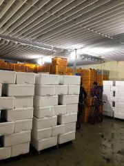 Customizable Quick Freezing Equipment for Various Dimensions Condition New Weight 2000 Kg Warranty 1 Year Certification - Image 5