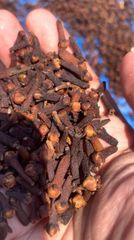 Premium Indonesian Cloves - Image 5
