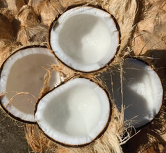 Dry Coconut – product photo 2, product detail gallery