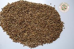 ROBUSTA COFFEE SCREEN 12 - Image 2