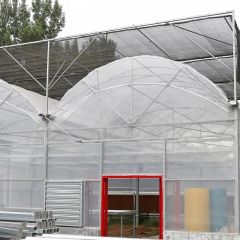 Commercial Plastic Film Greenhouse for Vegetable Span Multi Size Large Layer Single Trademark Sinok Thickness 0.15mm Location - Image 2