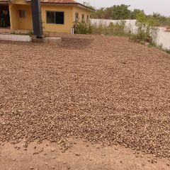 Cashew Nuts WW240 – product photo 3, product detail gallery