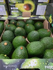 Avocado – product photo 2, product detail gallery