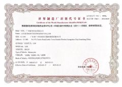 WMI Certificate certificate from Luckyram Technology Co., Ltd