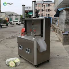 Large Capacity Efficient Continuous Efficient Quickly Fruit Peeling Machine - Image 4