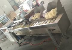 Surgical Latex Glove Inner Wallet Packaging Machine Supplier - Image 3