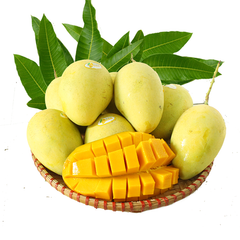 Whosale Fresh Mango Wholesale No Sugar Natural Sweet Delicious Fresh Fruits Dry Fruit Mango Slices - Image 3