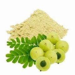 Amla Powder  Packaging 25 kg - 50 - Image 2