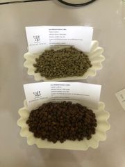 Laos Washed Arabica/ Natural Robusta Green Coffee - Image 1
