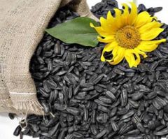 Sunflower seeds - Image 3